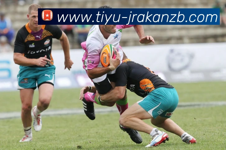 多媒体互动体验